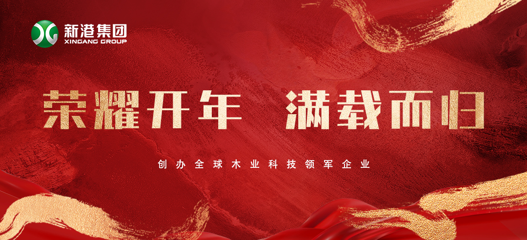 2025喜訊頻傳！新港集團榮膺多項大獎，再獲行業(yè)認可！