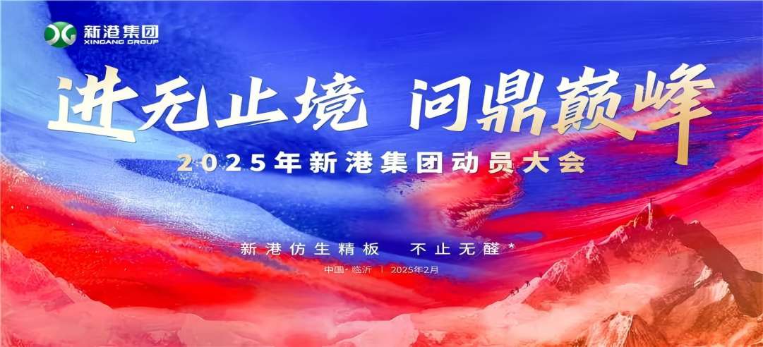 進(jìn)無止境，問鼎巔峰！2025年新港集團(tuán)動員大會成功召開！